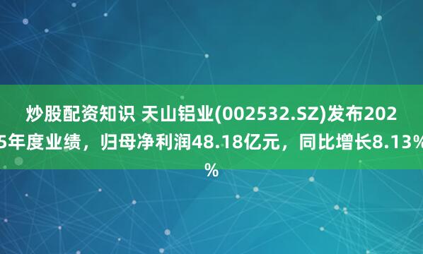 炒股配资知识 天山铝业(002532.SZ)发布2025年度业绩，归母净利润48.18亿元，同比增长8.13%