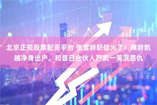 北京正规股票配资平台 张雪辞职信火了！裸辞凯越净身出户，和昔日合伙人严凯一笑泯恩仇